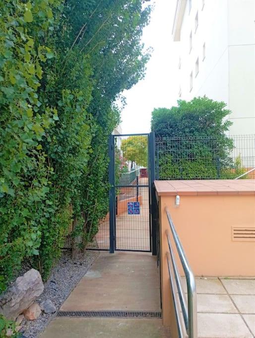 Apartamento En Primera Linea De Mar Roses Eksteriør billede