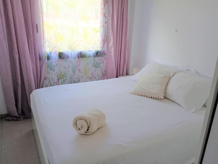 Apartamento En Primera Linea De Mar Roses Eksteriør billede